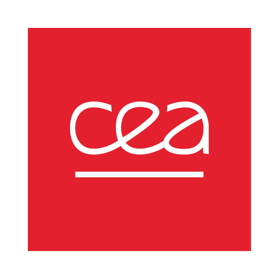 Logo CEA INSTN